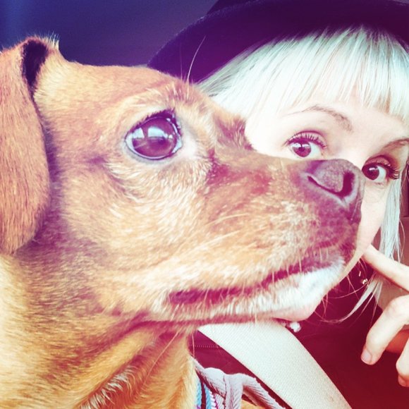 Meet your Posher, Tori - Picture 15 of 15